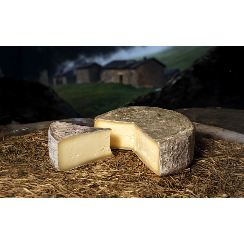 Saint-Nectaire fermier AOP