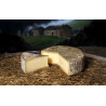 Saint-Nectaire fermier AOP